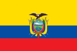 Ecuadorian flag pattern vector